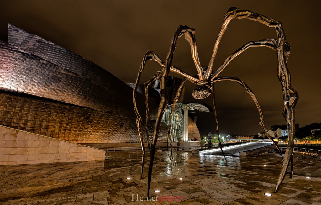 Spinne bei Nacht
