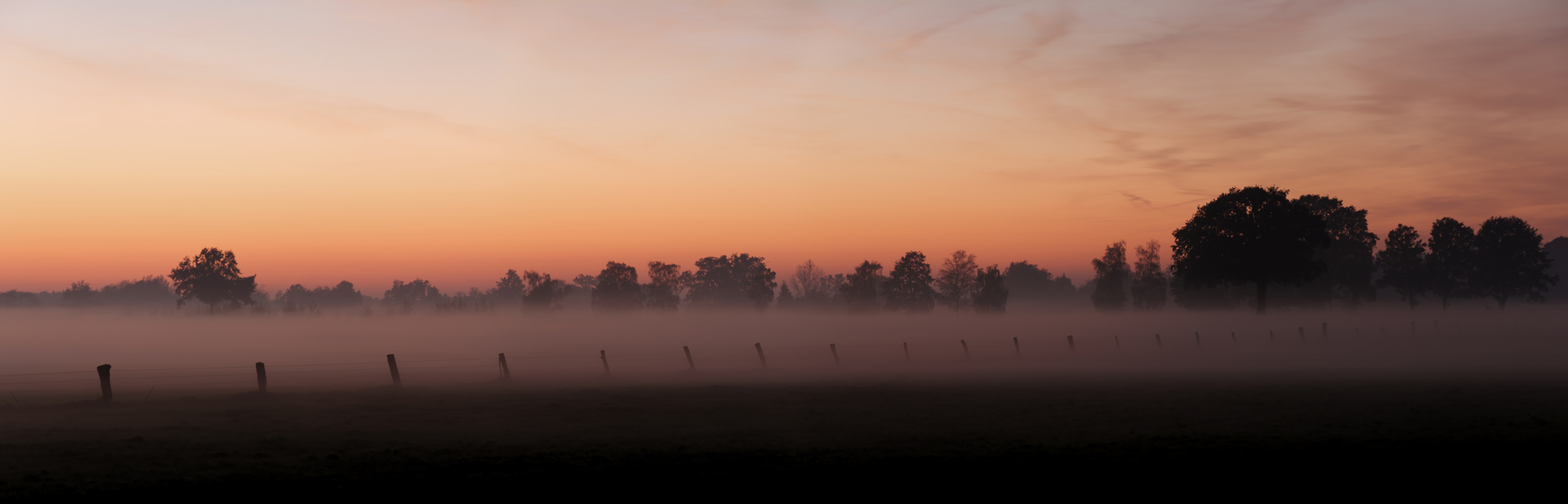 Abendstimmung Reckenfeld