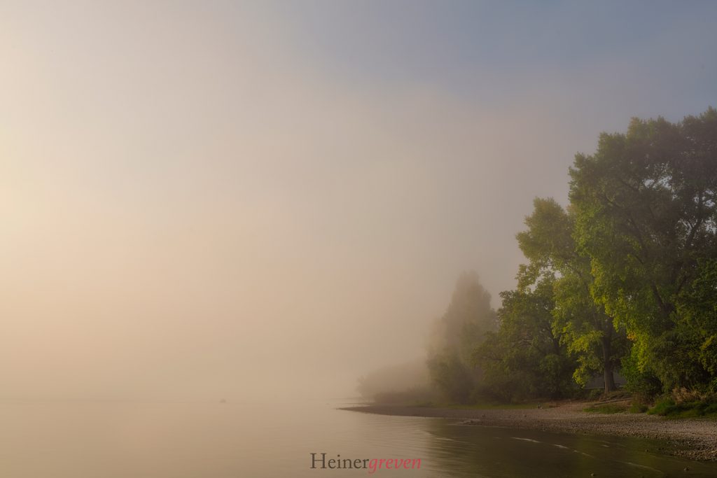 Bodensee-Nebel