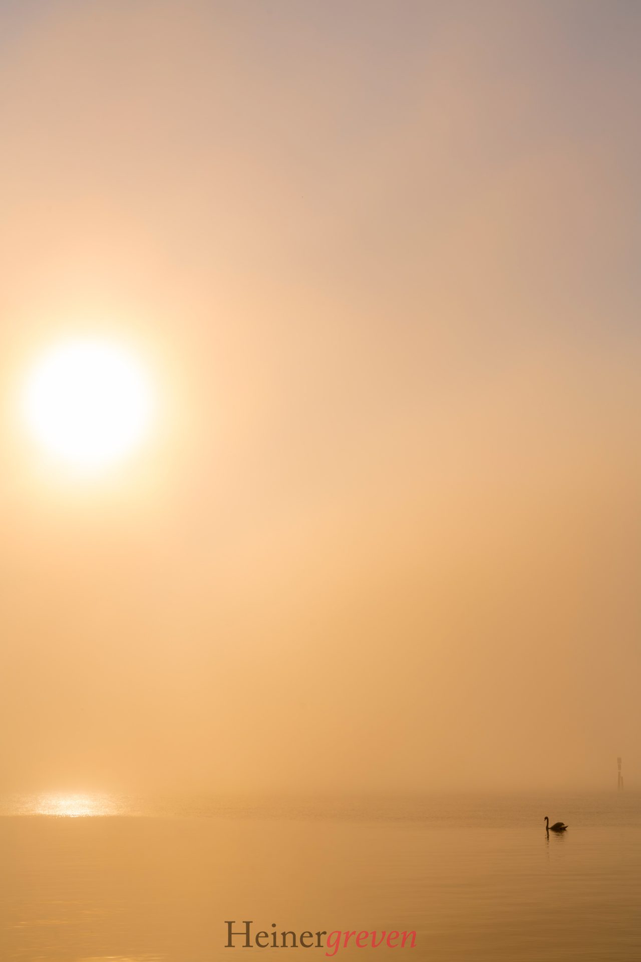 Guten-Morgen-Bodensee