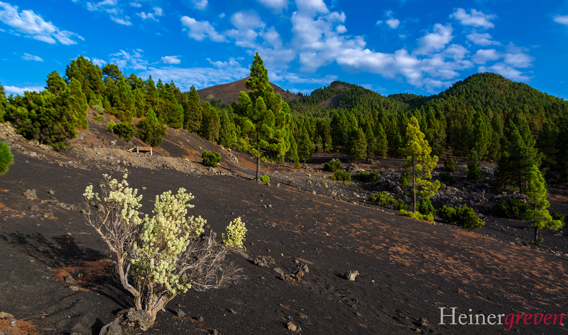 La Palma Spanien
