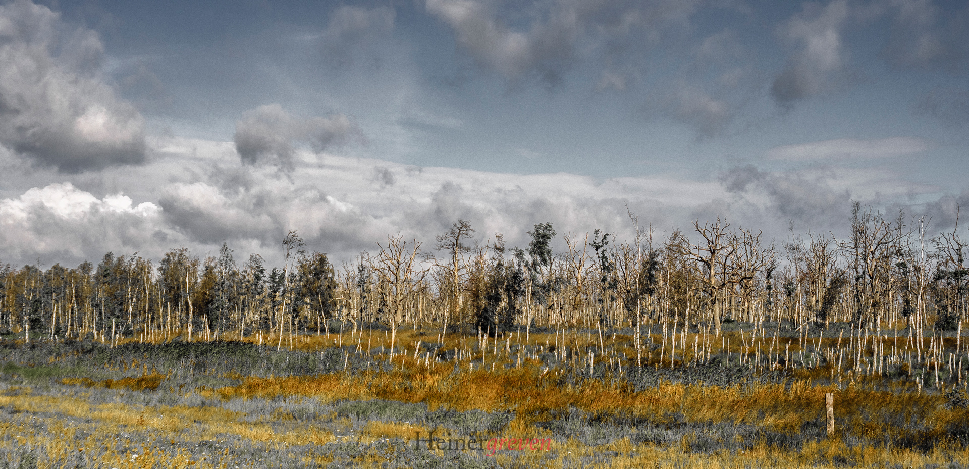 Nationalpark Zingst