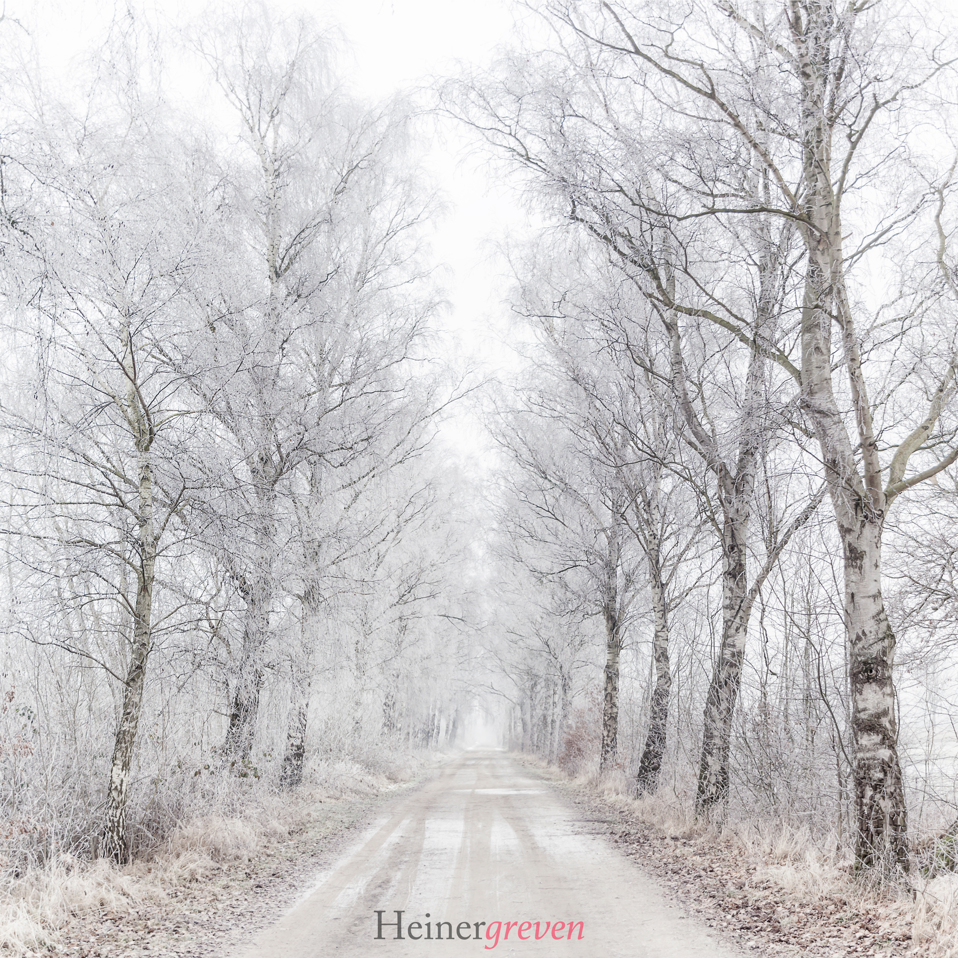Venner Moor im Winter