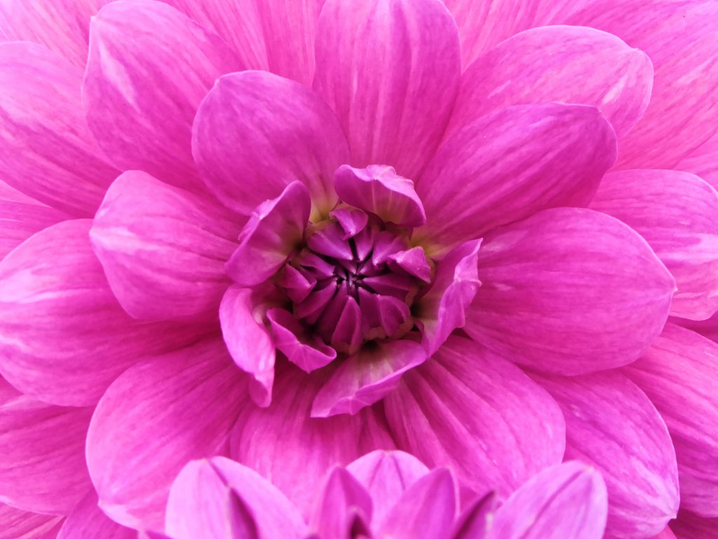 Image gallery image
