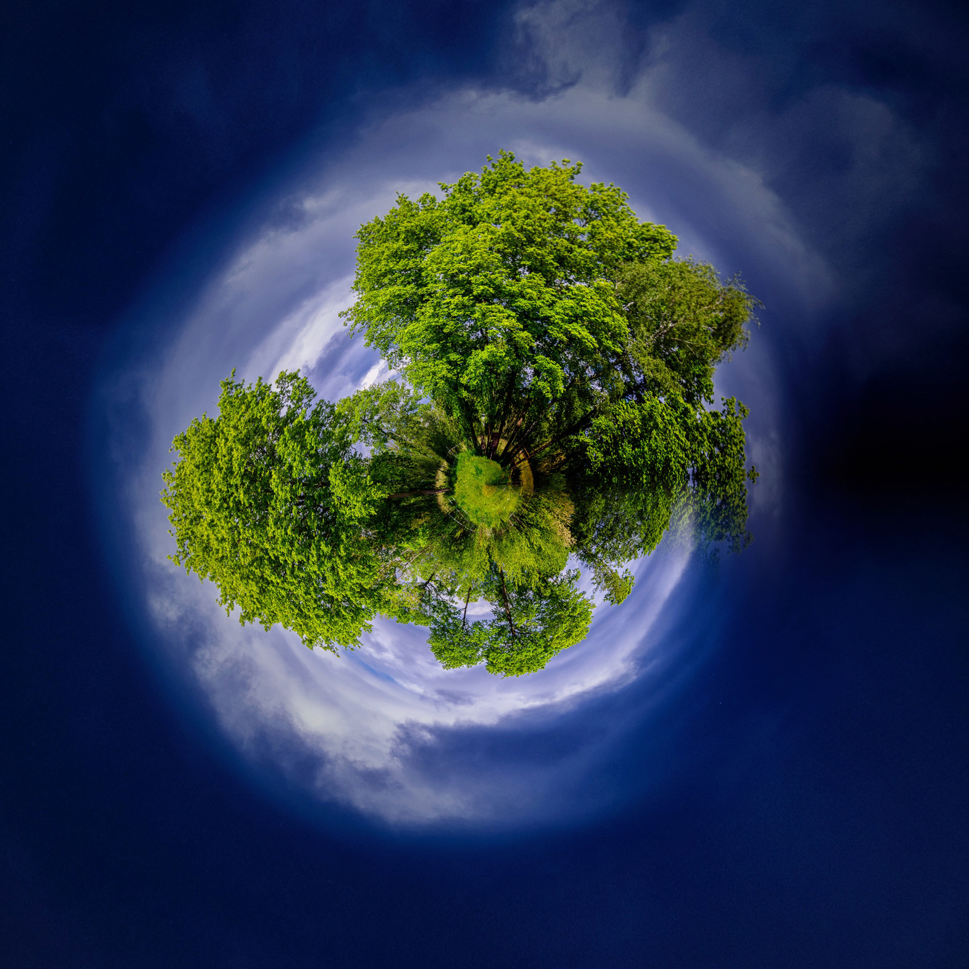 Planet Pferdewiese