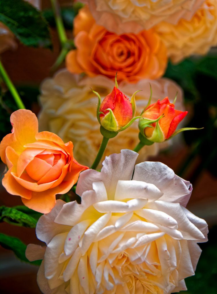 Image gallery image