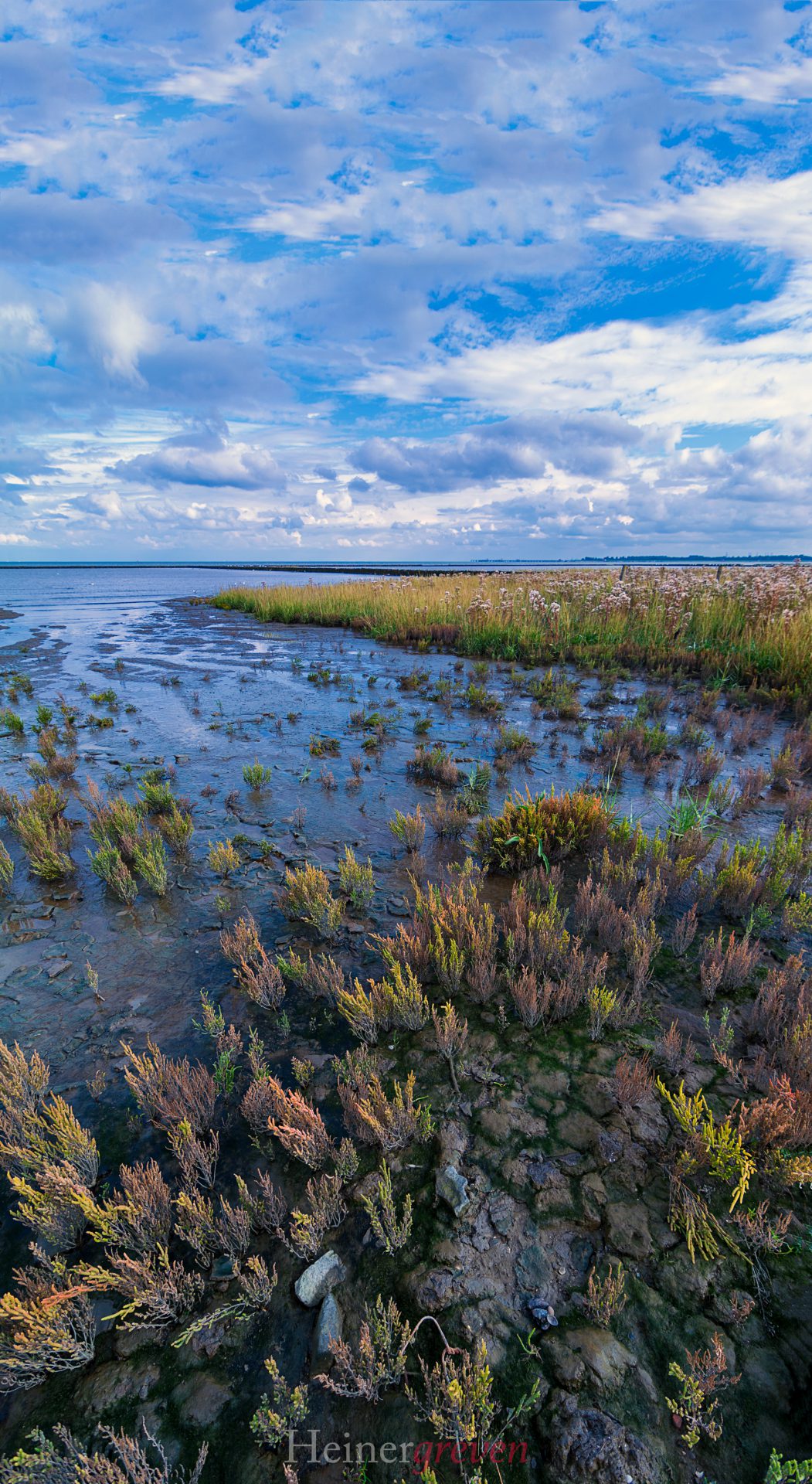 Schillig Nordsee