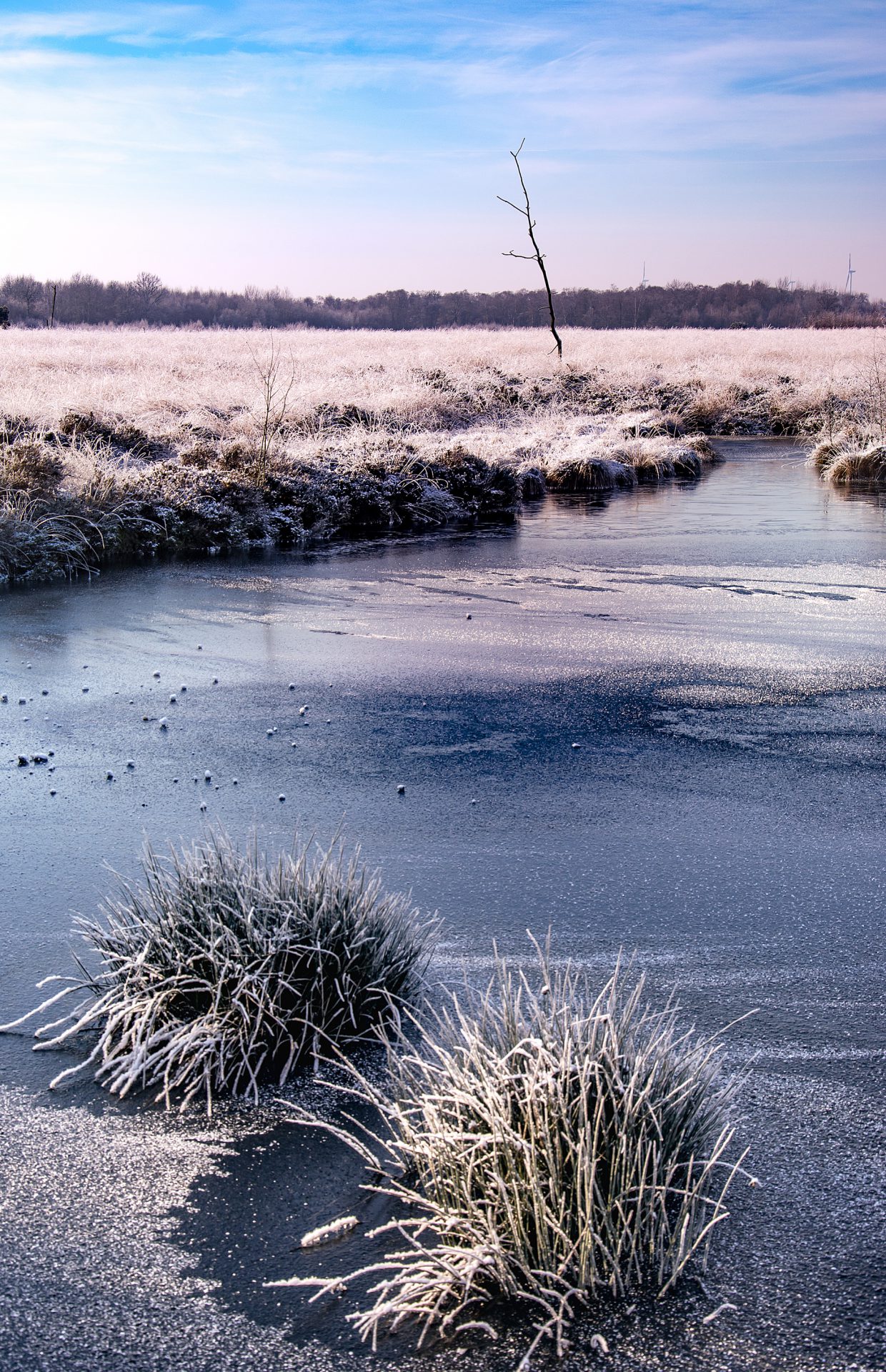 Venner Moor im Winter