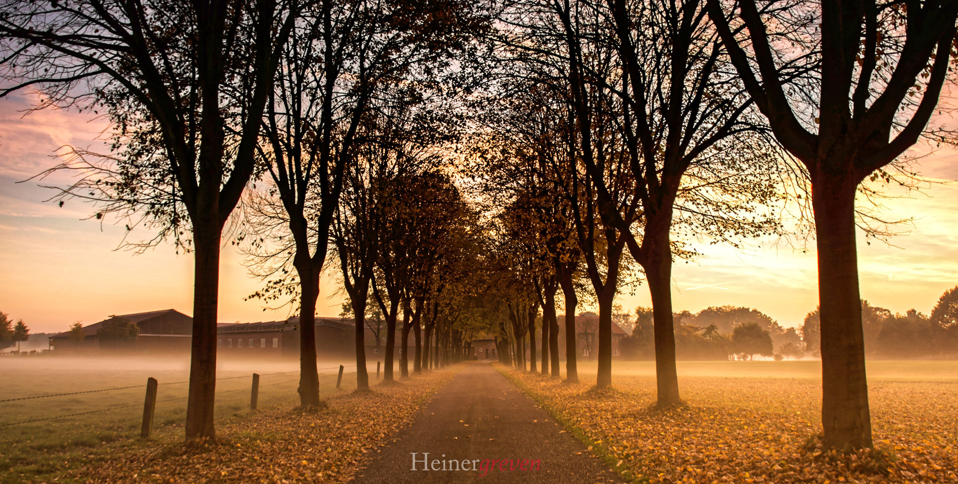 Allee im Herbst